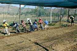 Waldorfschule Windhoek: Praktisches Training und Schulunterricht bringen aktive Freude. Waldorfschule Windhoek: Praktisches Training und Schulunterricht bringen aktive Freude.
