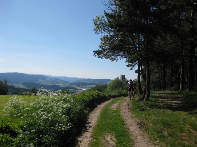 Mountainbiken im ArberLand: Die pure Lust am Biken - jetzt einfach und bequem mit den neuen Tourenkä