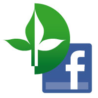 Sprossen-Keimlinge.de auf Facebook Sprossen-Keimlinge.de auf Facebook