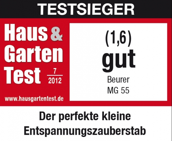 Ganz oben auf dem Siegertreppchen konnte sich das MG55 behaupten.