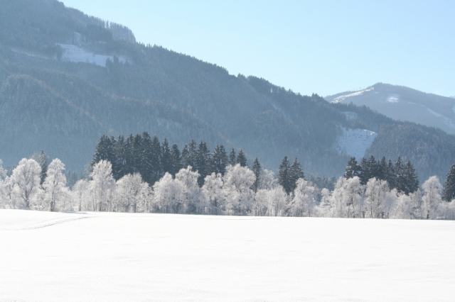Die Alpenregion Gesäuse mit dem drittgrößten NationalparkÖsterreichs und dem Naturpark Steirische Ei Die Alpenregion Gesäuse mit dem drittgrößten NationalparkÖsterreichs und dem Naturpark Steirische Ei