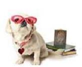 Hundemagazin: www.das-hundemagazin.de Hundemagazin: www.das-hundemagazin.de