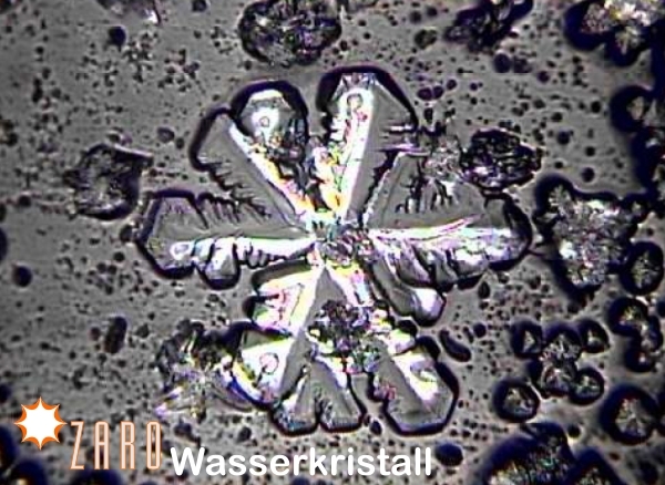 ZARO Wasserbelebung ZARO Wasserbelebung