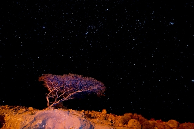 Oman: Sternenhimmelüber der Rub al-Khali Oman: Sternenhimmelüber der Rub al-Khali