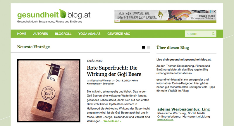 Die Startseite von www.gesundheit-blog.at