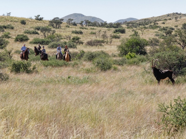 Tswalu Kalahari Private Game Reserve_Reit-Safari Tswalu Kalahari Private Game Reserve_Reit-Safari