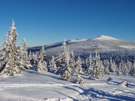 Tschechische Winterlandschaft in Spindlermühle