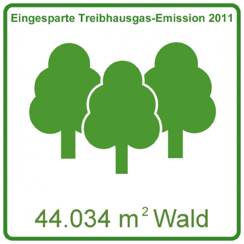Insgesamt 44.034 Quadratmeter Wald sind notwendig, um eine vergleichbare Menge Treibhausgas im Jahr Insgesamt 44.034 Quadratmeter Wald sind notwendig, um eine vergleichbare Menge Treibhausgas im Jahr