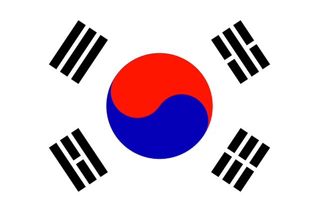 Die kr-Domain kann der erste Schritt sein, um den koreanischen Markt zu erobern Die kr-Domain kann der erste Schritt sein, um den koreanischen Markt zu erobern