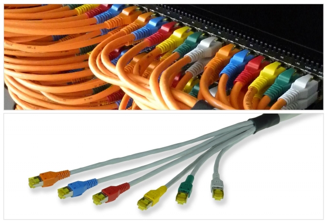 Trunk-Patchkabel von tde Trunk-Patchkabel von tde