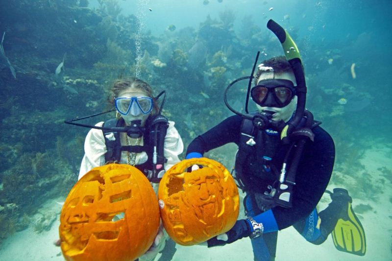 Bildrechte: © Florida Keys News Bureau Bildrechte: © Florida Keys News Bureau