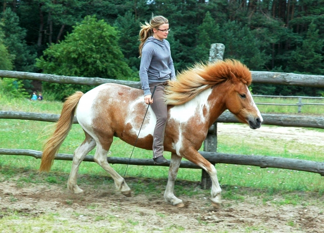 Freies Reiten - Körpergefühl gemeinsam mit dem Pferd entwickeln Freies Reiten - Körpergefühl gemeinsam mit dem Pferd entwickeln