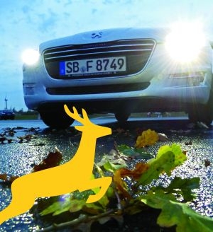 Was tun, wenn Rehe auf die Fahrbahn laufen? Das Pkw-Wild-&Wetter-Training im ADAC Fahrsicherheitszen Was tun, wenn Rehe auf die Fahrbahn laufen? Das Pkw-Wild-&Wetter-Training im ADAC Fahrsicherheitszen
