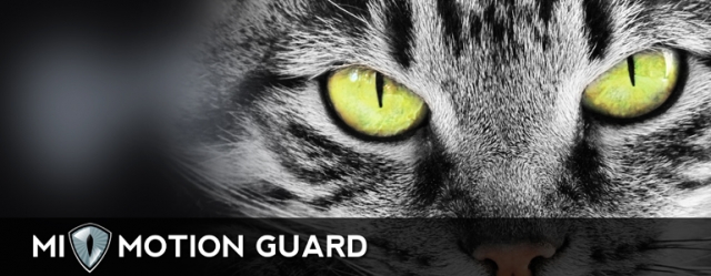 MI-Motion Guard® - Alarmsystem mit Mehrwert MI-Motion Guard® - Alarmsystem mit Mehrwert