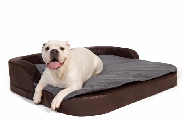 DoggyBed Hundeschlafplätze