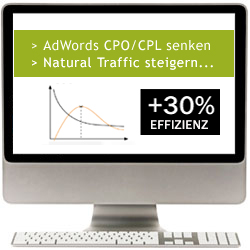 Adwords-Check für Online-Händler Adwords-Check für Online-Händler
