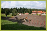 Training mit Hund Training mit Hund