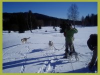 Urlaub mit Hund im Winter Urlaub mit Hund im Winter