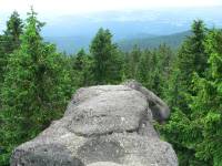 Landschaft im Bayerischen Wald