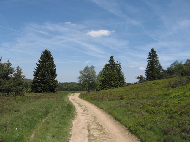 Mediation ist ein Weg zu unserer wahren Natur....... Mediation ist ein Weg zu unserer wahren Natur.......