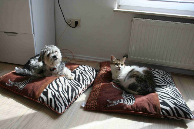 Auch Tiere wollen es im Winter warm haben
