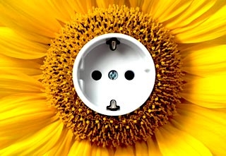Stromsparen hilft dem Haushaltsbudget und der Umwelt Stromsparen hilft dem Haushaltsbudget und der Umwelt