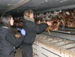 Tierbefreiung Tierbefreiung