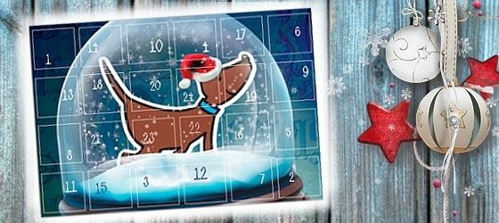 Großer Adventskalender im Hund-Unterwegs-Magazin
