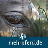 mehrpferd.de –Der Klick zu den Pferden mehrpferd.de –Der Klick zu den Pferden