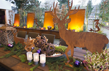 Garten und Terrasse vom Parkhotel sind vorweihnachtlich geschmückt und sorgen für festliche Stimmung Garten und Terrasse vom Parkhotel sind vorweihnachtlich geschmückt und sorgen für festliche Stimmung