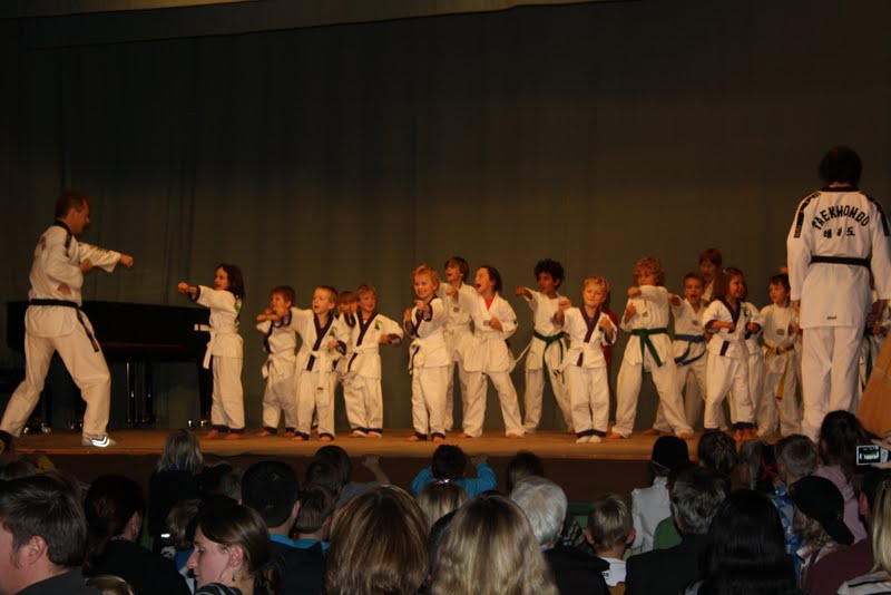 Taekwondo Kinder bei der Vorführung Taekwondo Kinder bei der Vorführung