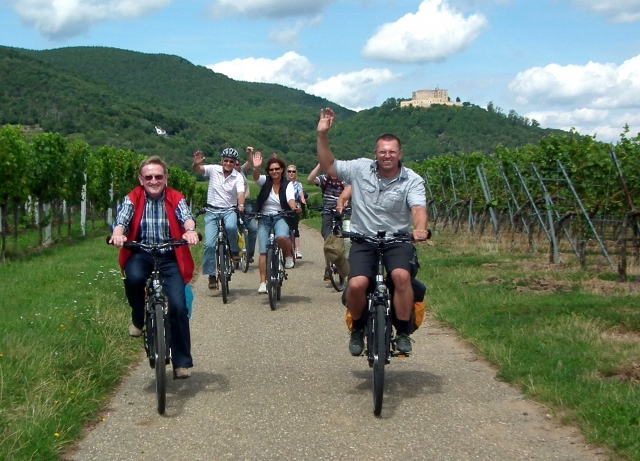 Pedelecs Radtouren von genussradeln-pfalz sind ideal um die paradiesische Genuss- und Erlebnisregio Pedelecs Radtouren von genussradeln-pfalz sind ideal um die paradiesische Genuss- und Erlebnisregio