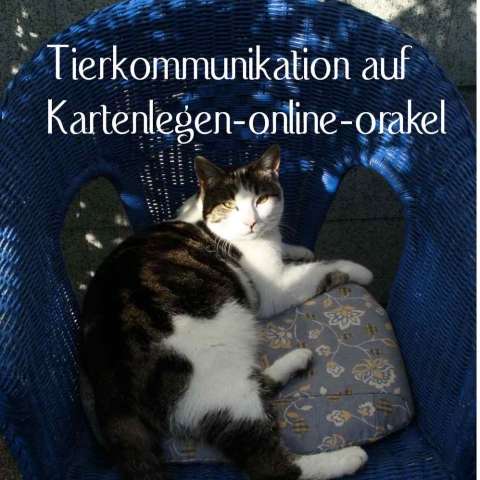 Tierkommunikation und Berater bei karten legen online orakel Tierkommunikation und Berater bei karten legen online orakel
