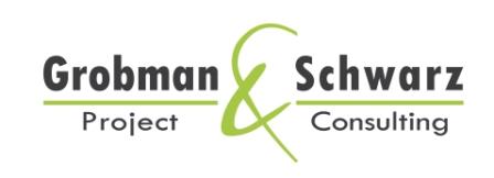 Grobman & Schwarz MS Project Server On Demand