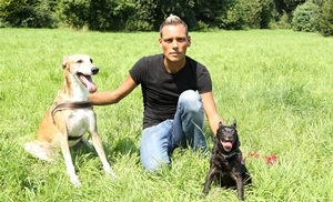 Stefan Klippstein ist der Tierretter Stefan Klippstein ist der Tierretter