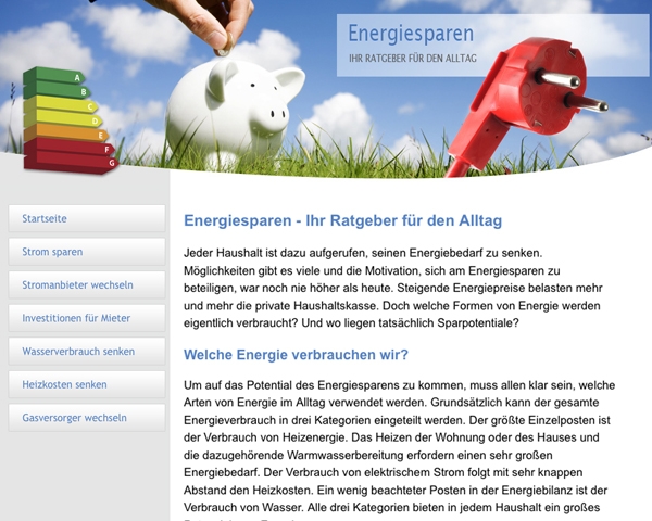 So präsentiert sich die Site www.ratgeber-energie-sparen.info in Internet