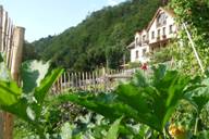 Blick vom Kräutergarten auf das Hotel Helvetia