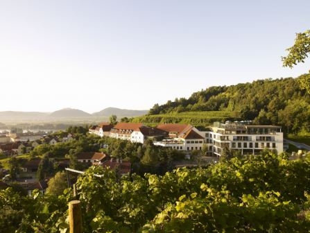 Wellness, Wein und einfach Wohlfühlen? Urlaub in der Wachau Wellness, Wein und einfach Wohlfühlen? Urlaub in der Wachau