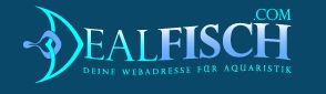 Dealfisch.com Dealfisch.com