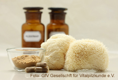 Foto: Gesellschaft für Vitalpilzkunde e.V. Foto: Gesellschaft für Vitalpilzkunde e.V.