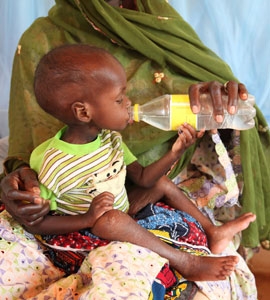Die Schreinerei Hein unterstüzt Bedürftige aus Afrika
