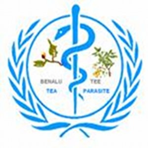 Benalu Tee (Tea Parasite)