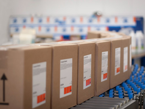 Schonen die Umwelt: die neuen Transportverpackungen schonen die Umwelt. 