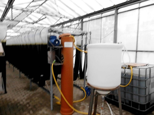 Algenproduktion in Modulbauweise, Bassum Niedersachsen Algenproduktion in Modulbauweise, Bassum Niedersachsen