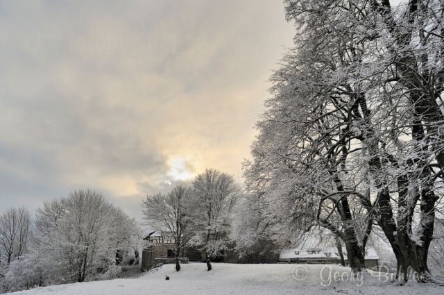 Winterstille - Landschaftsfotografie auf BURG FÜRSTENECK