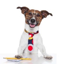 Hundefutter bei Hunde-herzl.de
