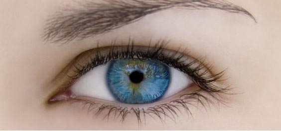 Metallsplitter im Auge immer ein Notfall Metallsplitter im Auge immer ein Notfall