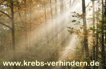 krebs-verhindern.de krebs-verhindern.de