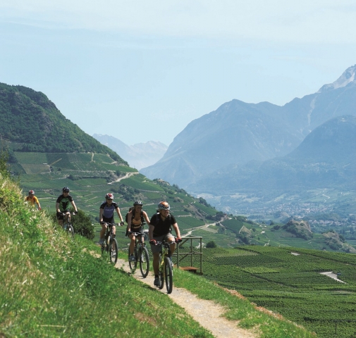mit dem Bikeüber die Alpen