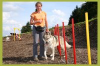 Hundetraining Hundetraining